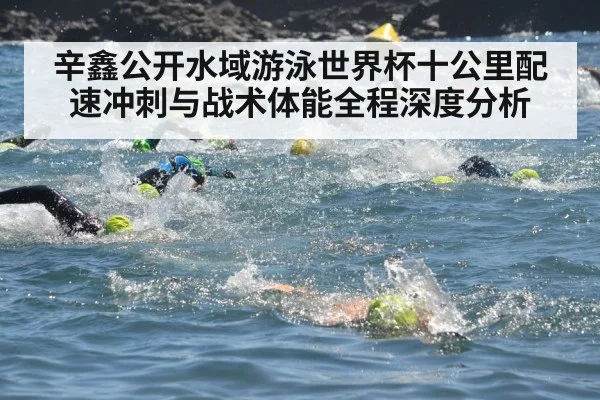 辛鑫公开水域游泳世界杯十公里配速冲刺与战术体能全程深度分析 - kaiyun